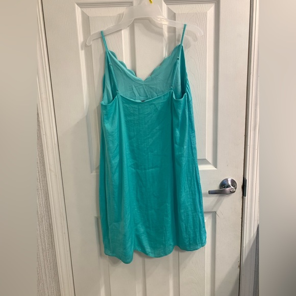 Naked Zebra Dress - Picture 4 of 4